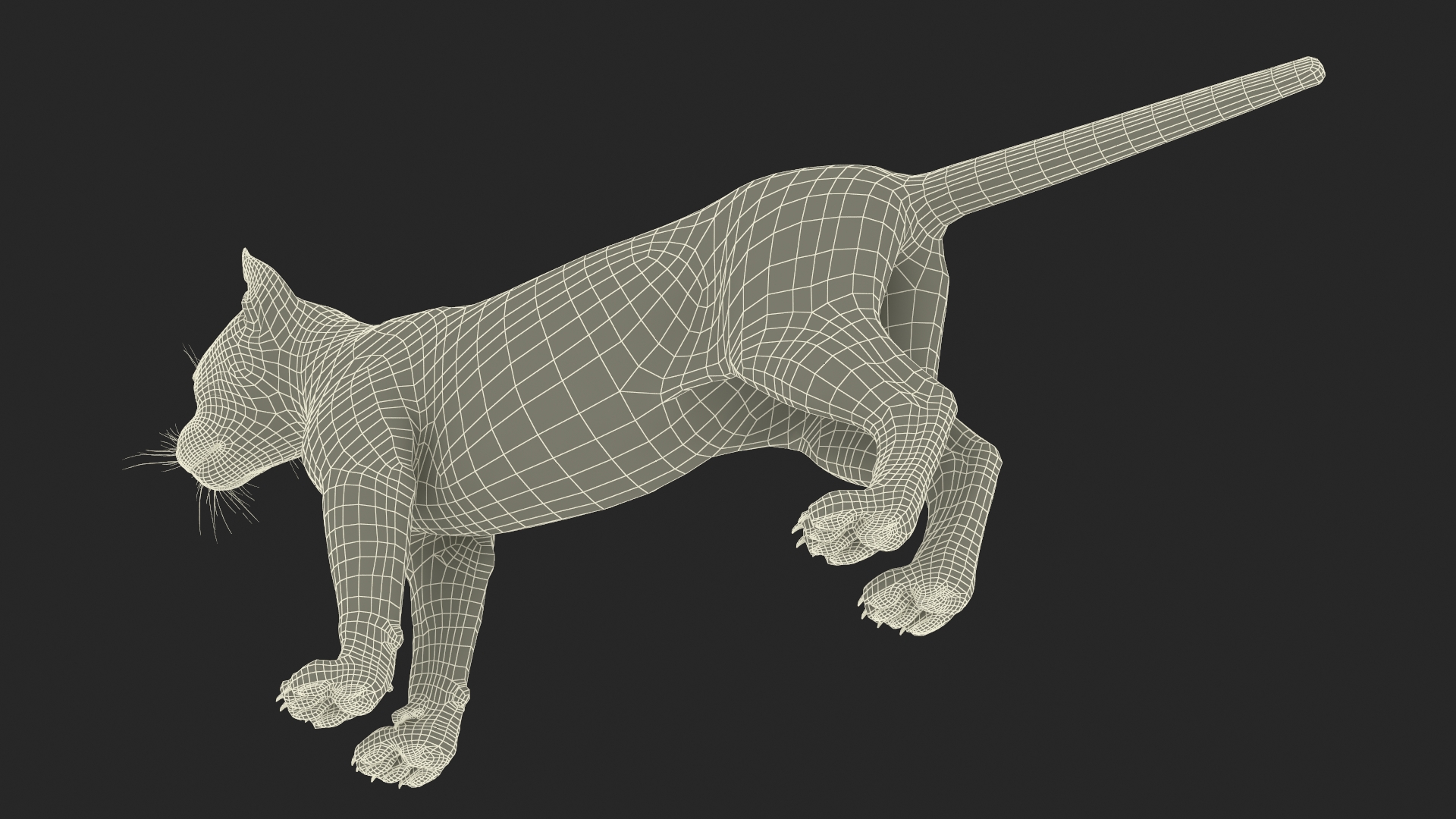 3D Panther Cub Rigged model