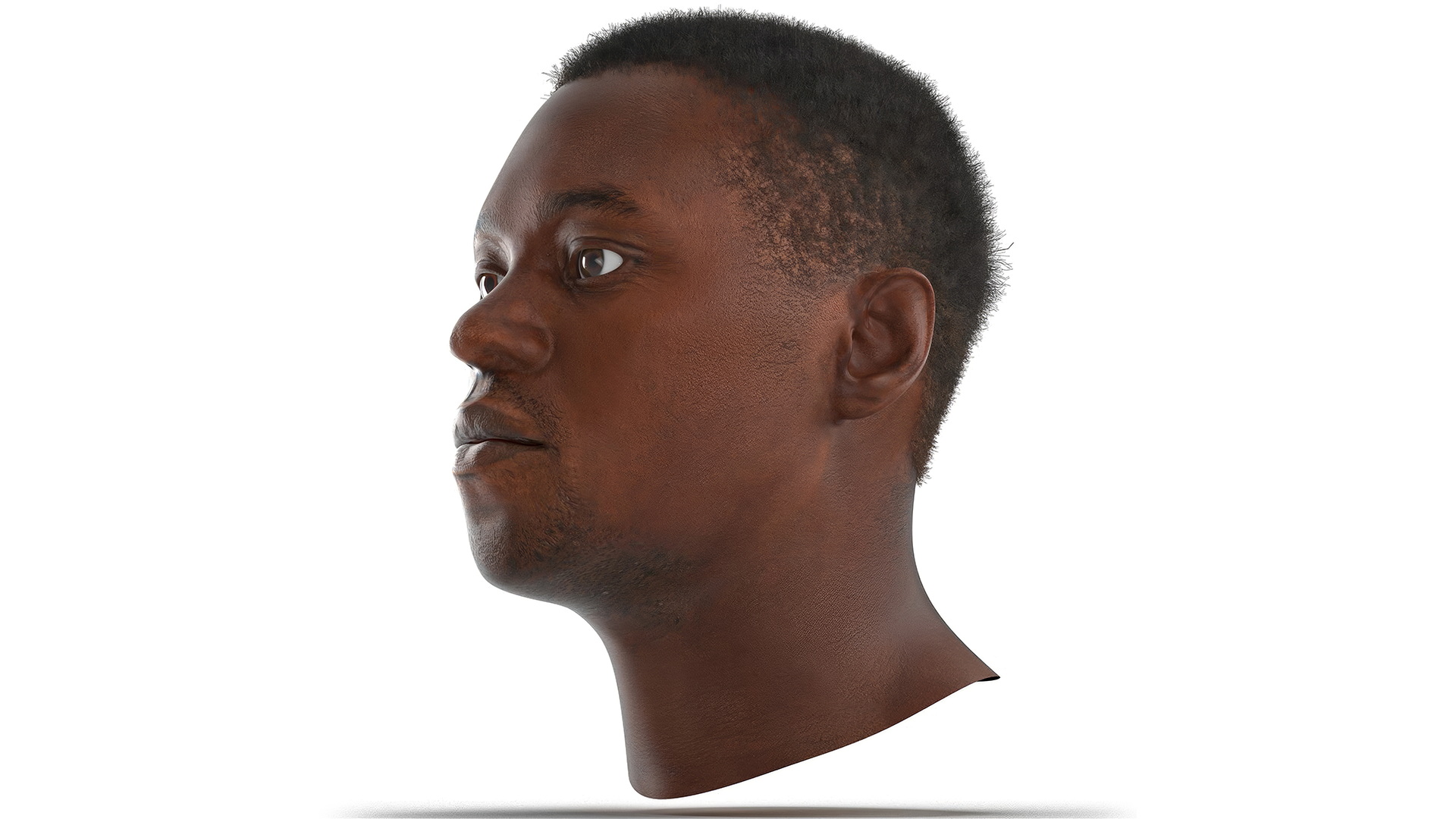 African American Male Head Rigged Fur 3D