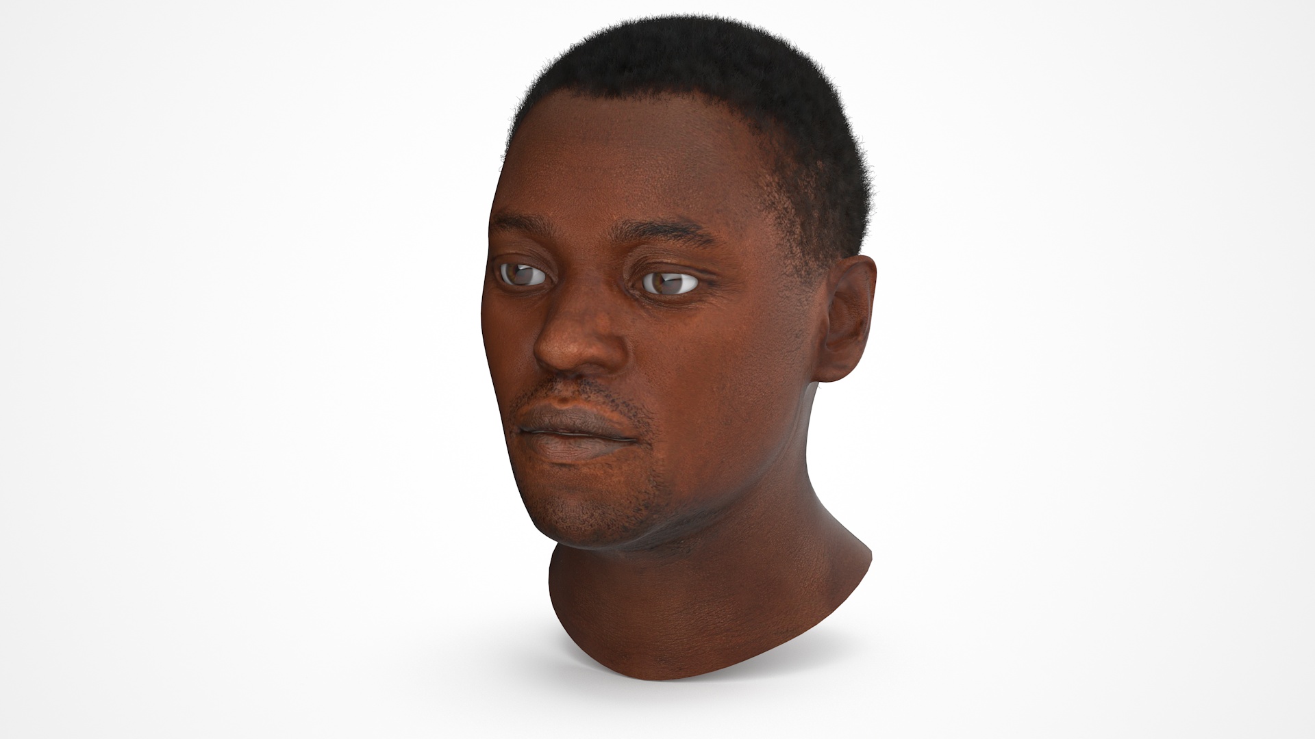 African American Male Head Rigged Fur 3D