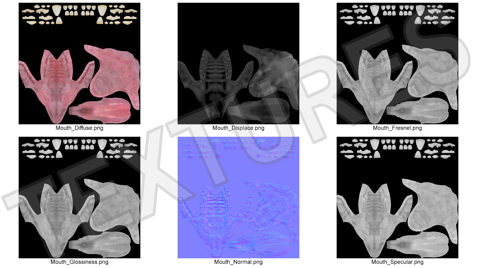 3D Dog Jaw Anatomic