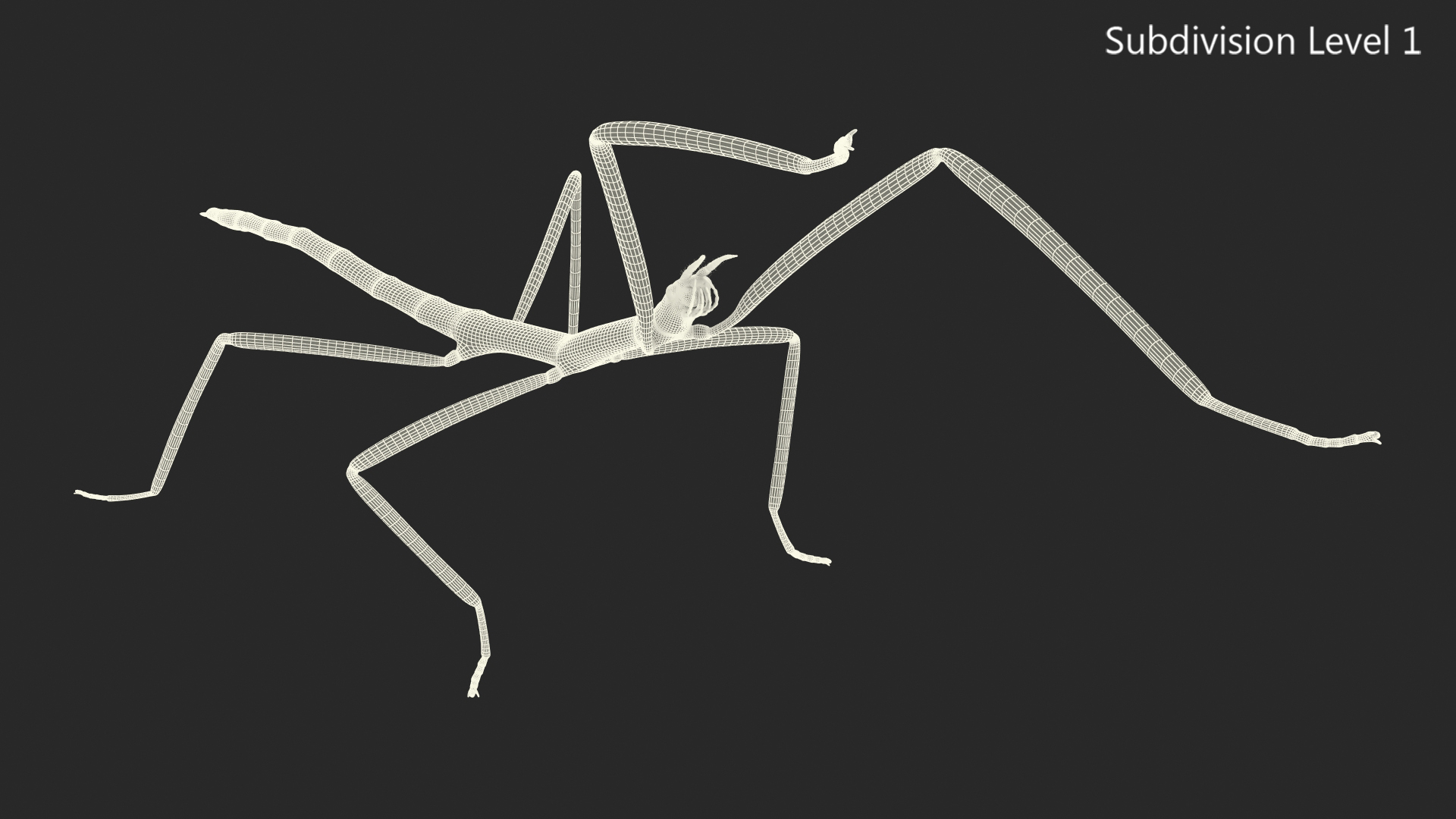 3D model Stick Insect Green Attack Pose