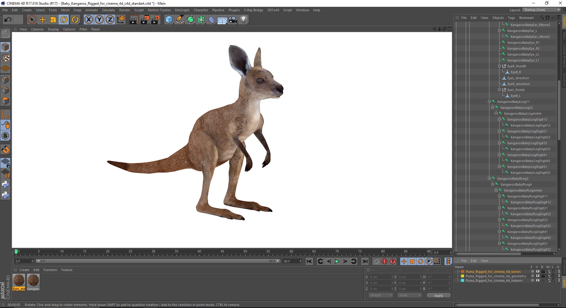 Baby Kangaroo Rigged for Cinema 4D 3D model