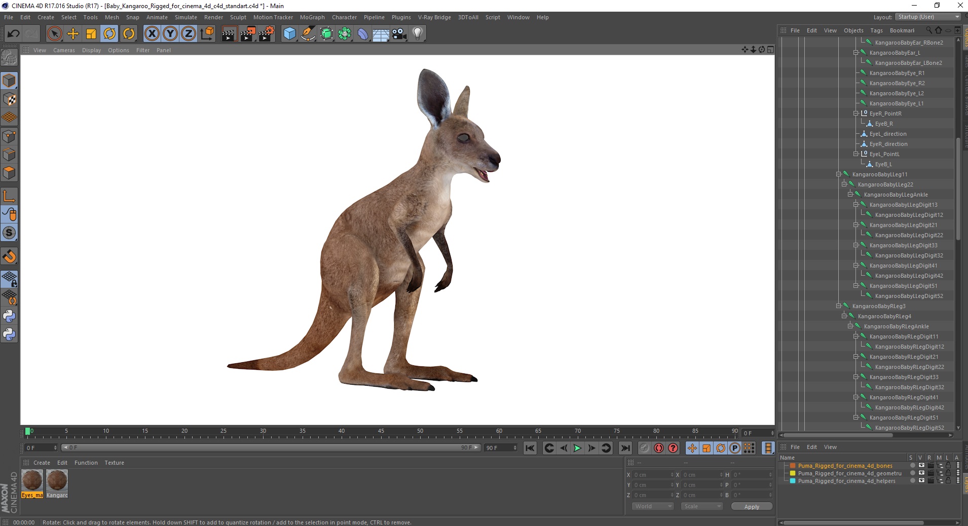 Baby Kangaroo Rigged for Cinema 4D 3D model