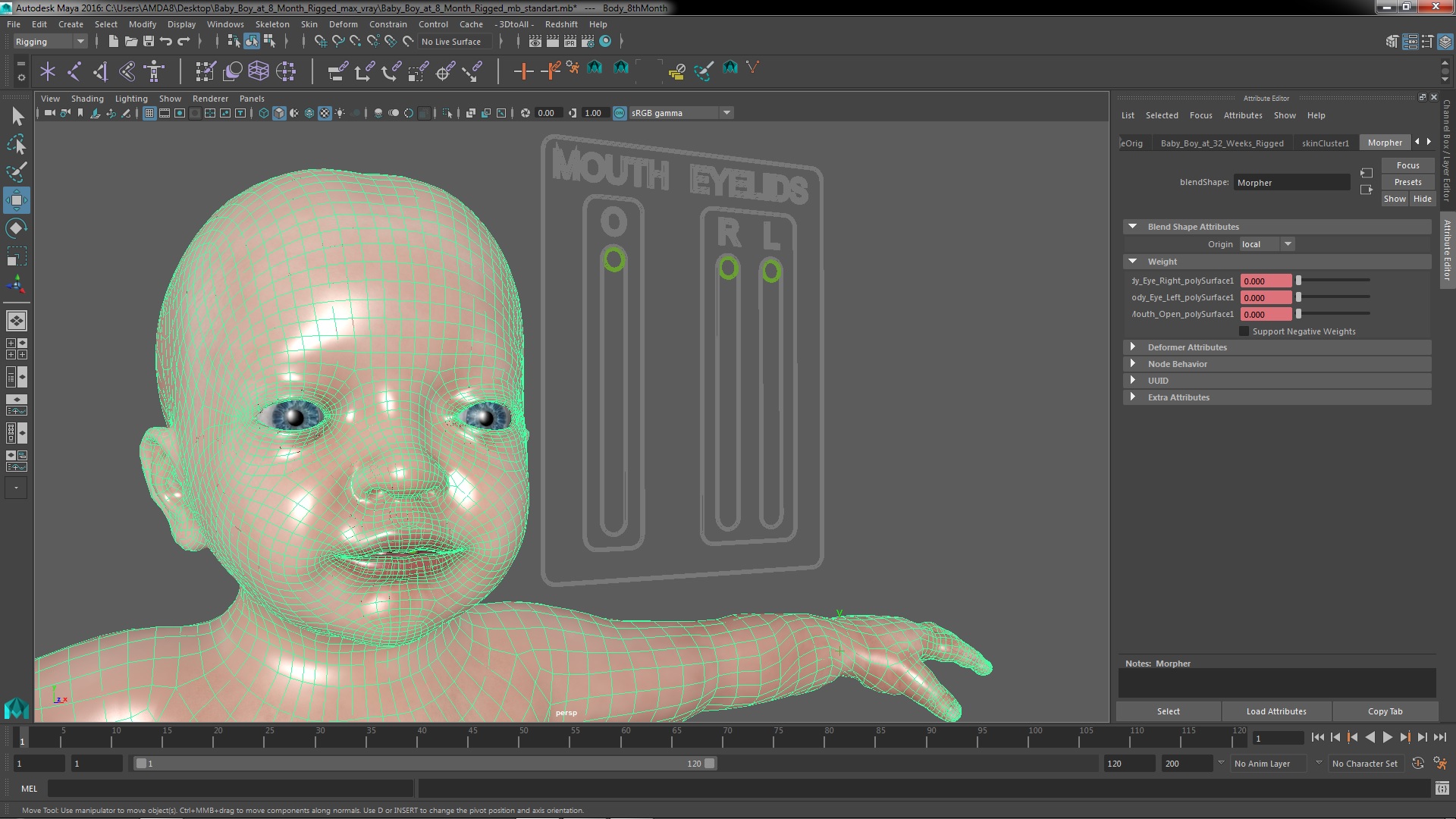 3D model Baby Boy at 8 Month Rigged for Maya