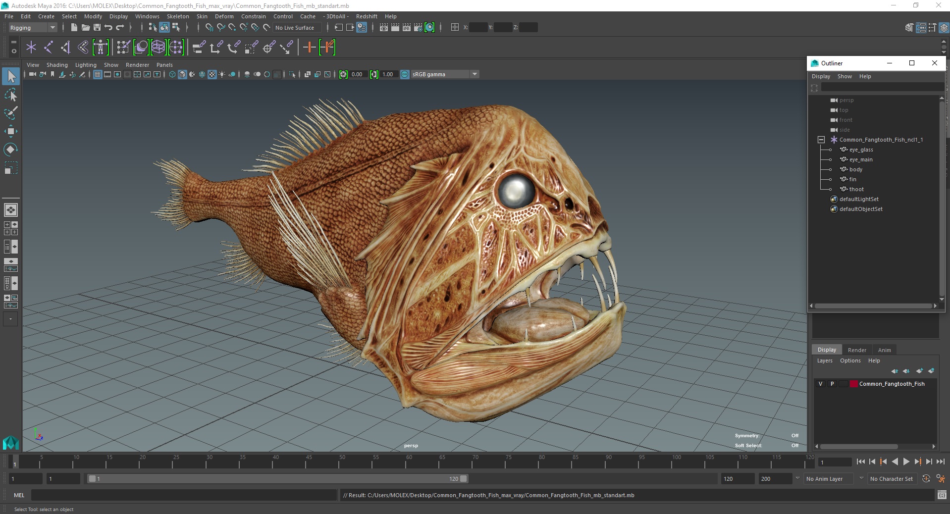 3D Common Fangtooth Fish