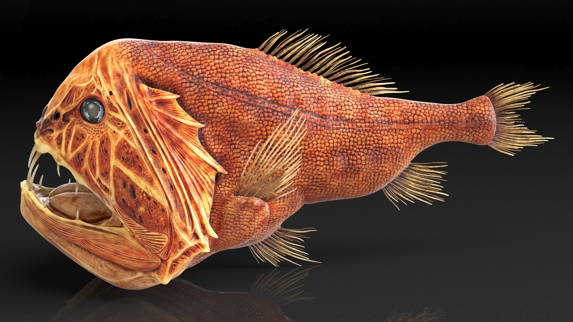 3D Common Fangtooth Fish