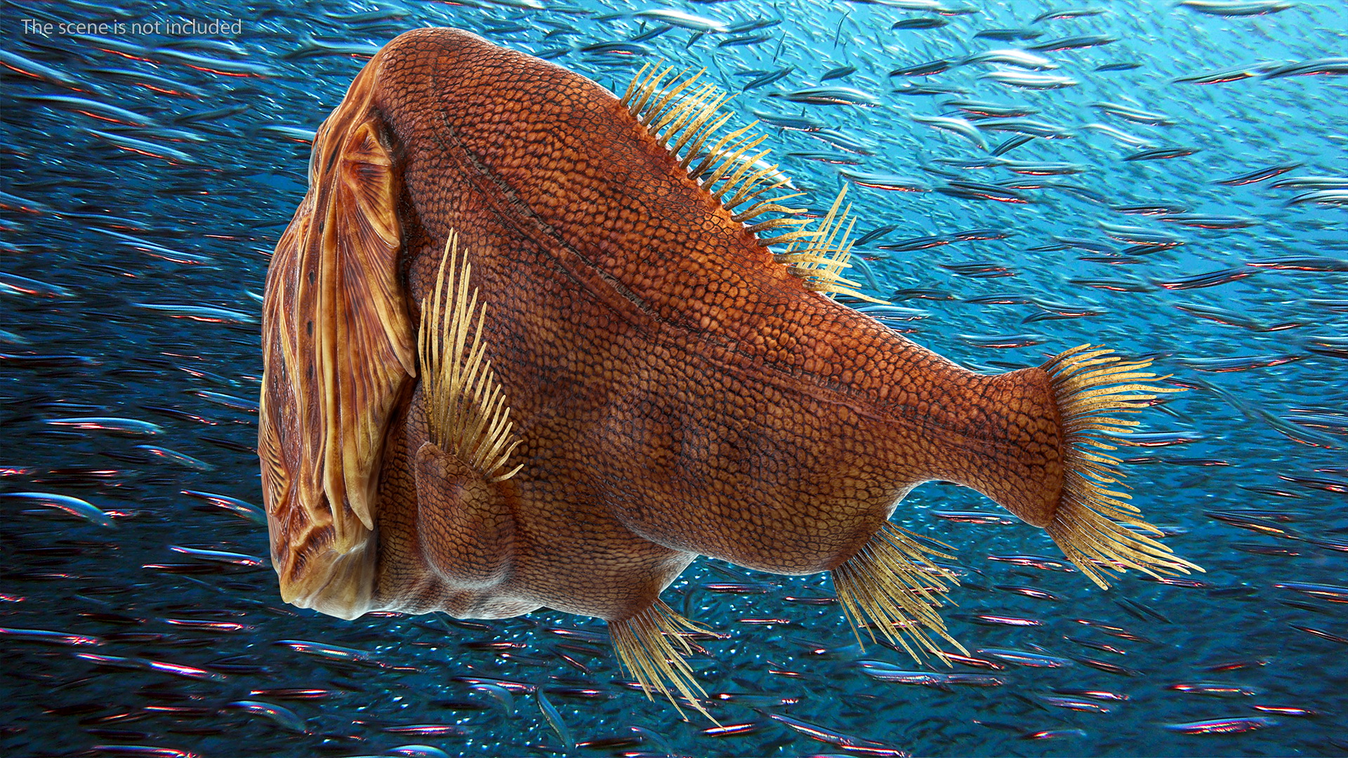 3D Common Fangtooth Fish