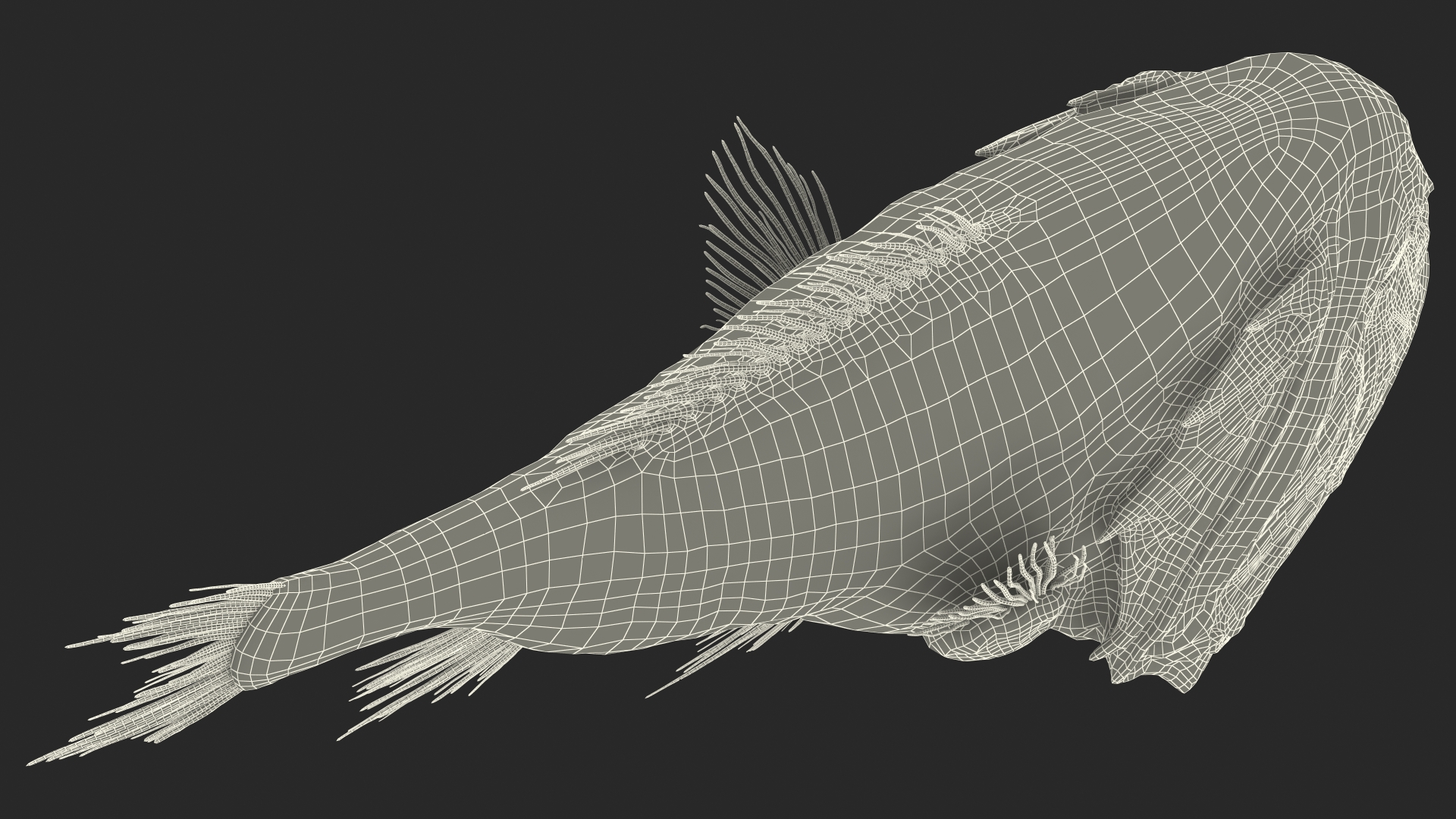 3D Common Fangtooth Fish