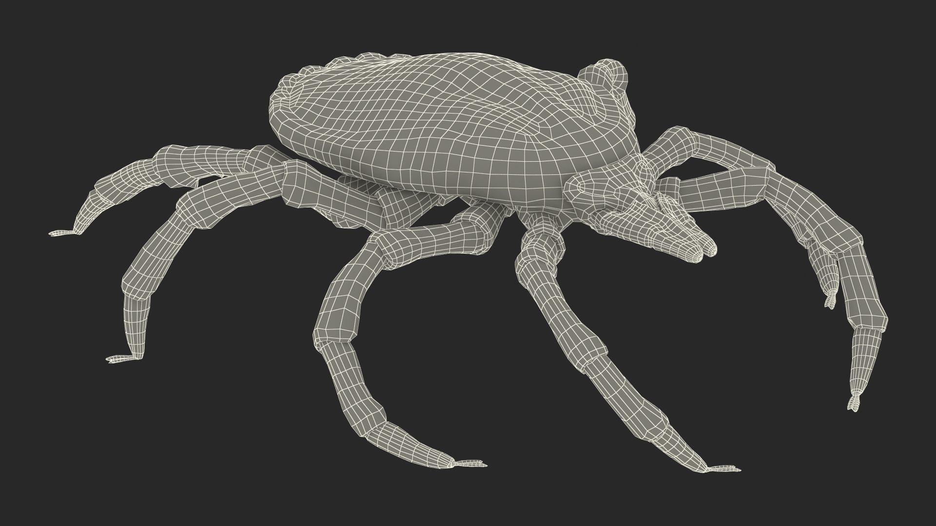 3D model Tick Fur