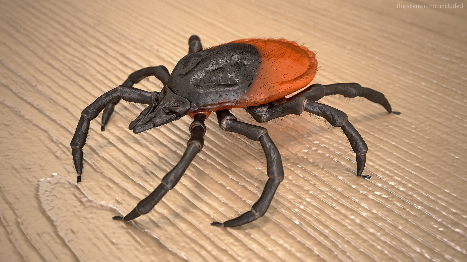 3D model Tick Fur