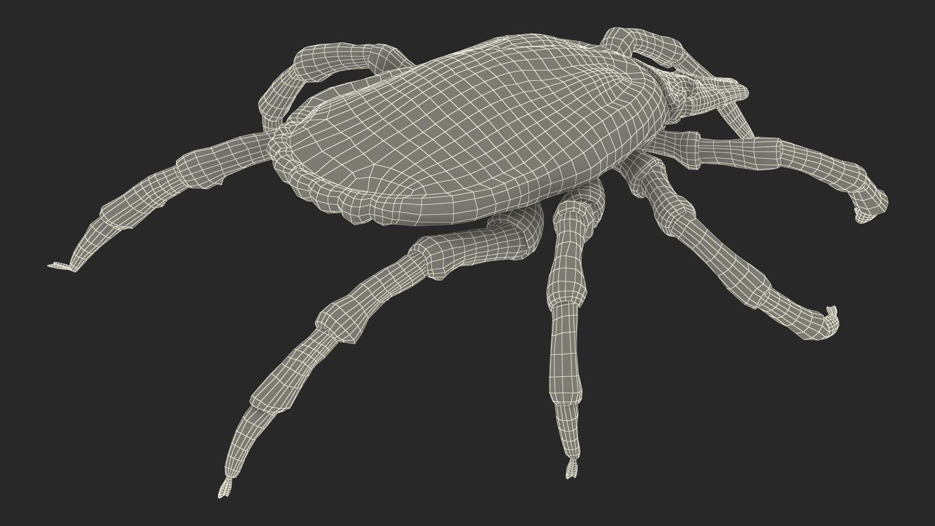 3D model Tick Fur