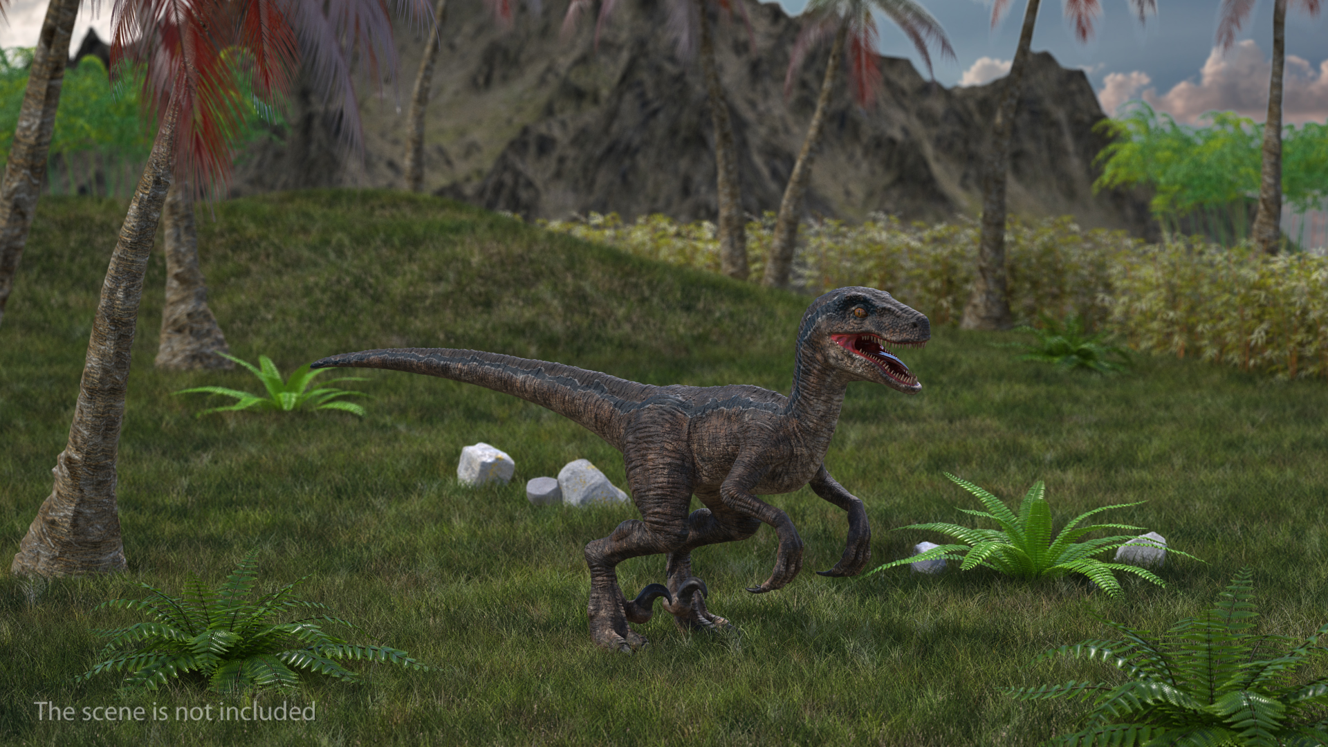 Velociraptor 3D