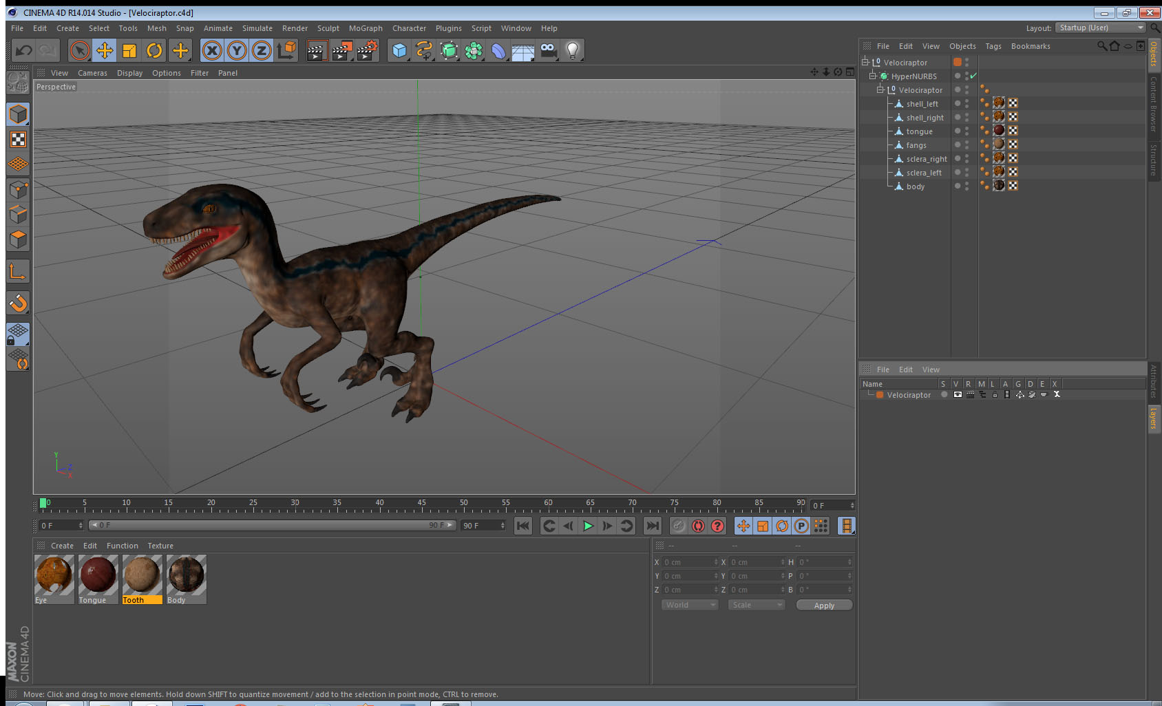 Velociraptor 3D