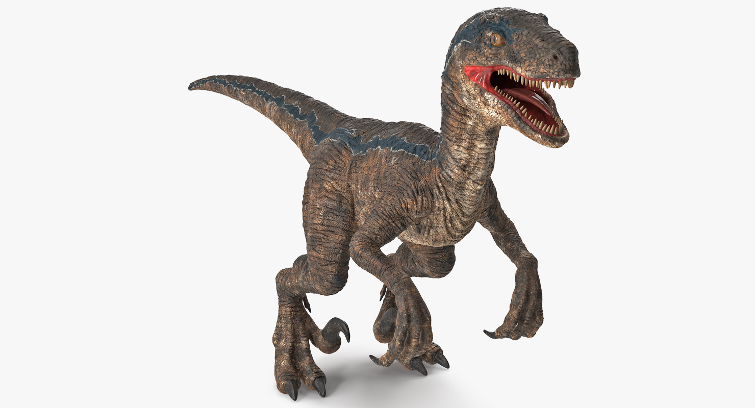 Velociraptor 3D