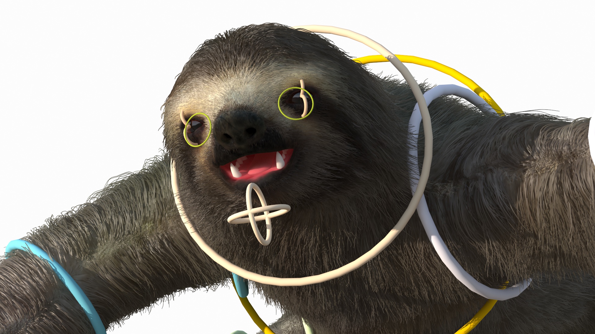 3D Sloth Fur Rigged