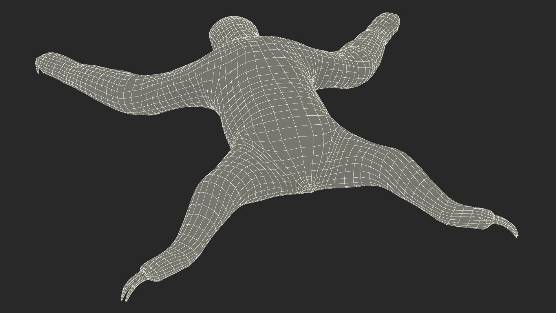 3D Sloth Fur Rigged