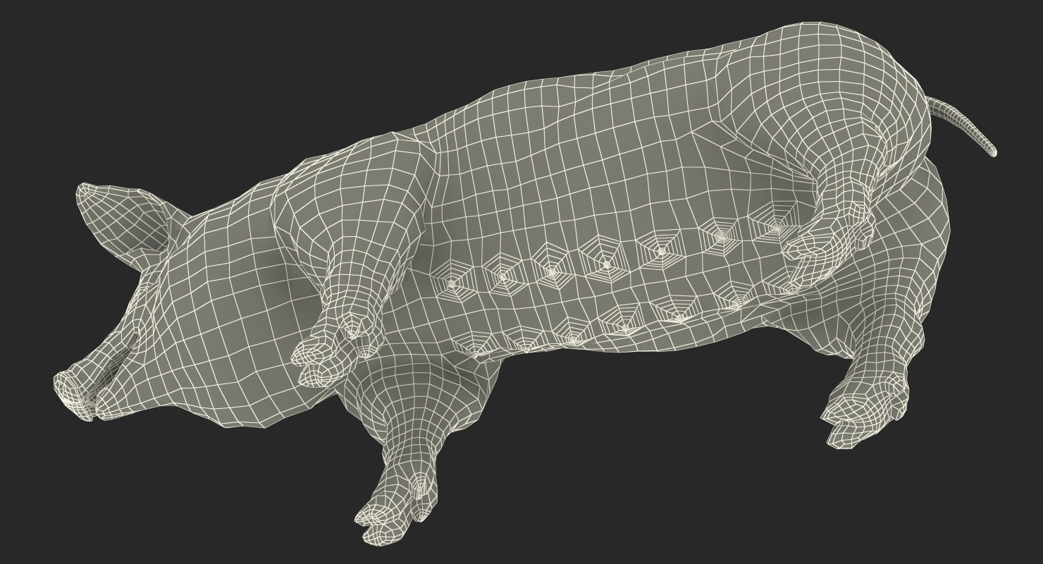 Hampshire Pig Sow Rigged 3D model