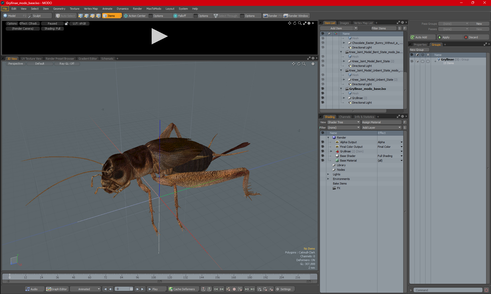 Gryllinae 3D model