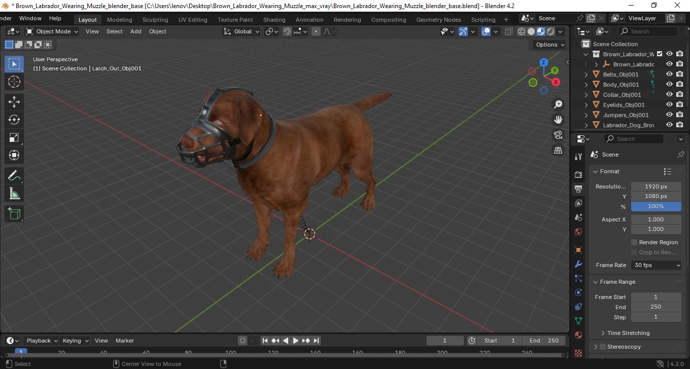 Brown Labrador Wearing Muzzle 3D model