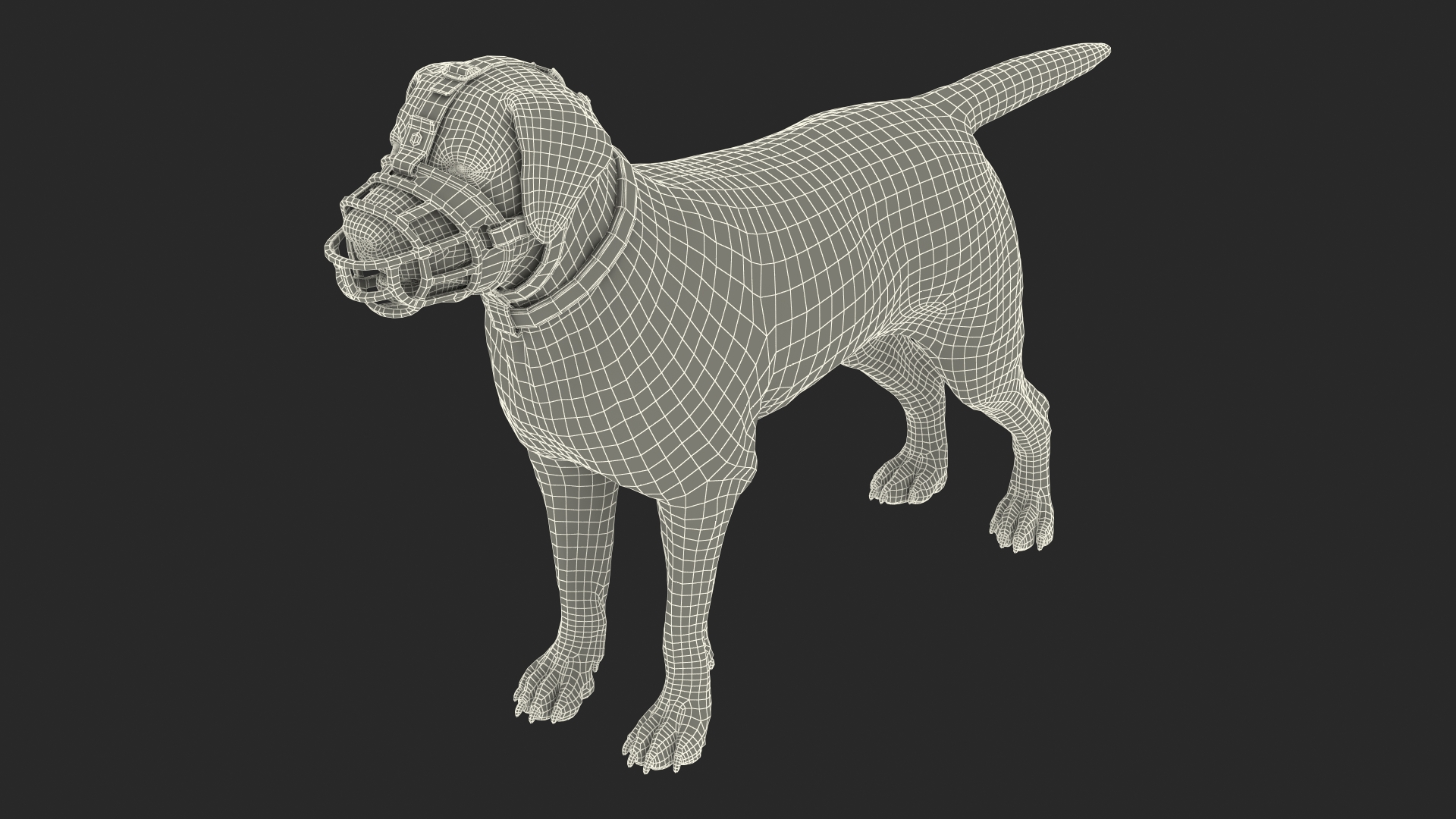 Brown Labrador Wearing Muzzle 3D model