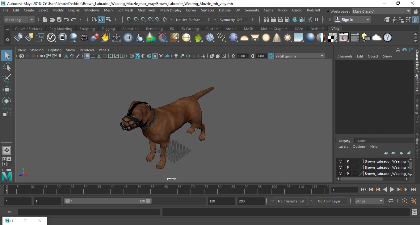 Brown Labrador Wearing Muzzle 3D model