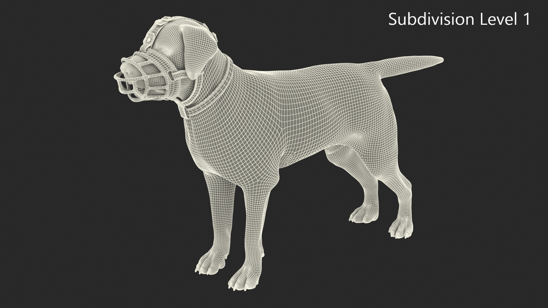 Brown Labrador Wearing Muzzle 3D model