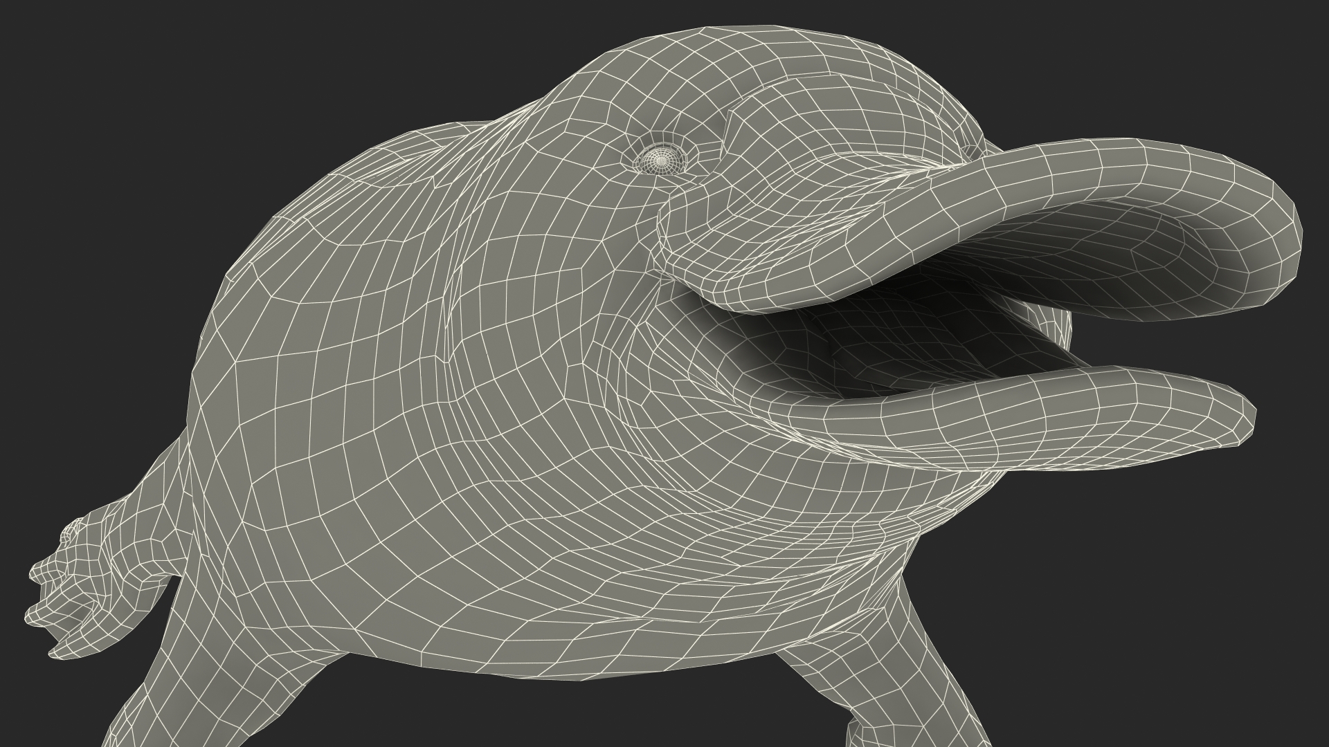 Platypus Fur 3D