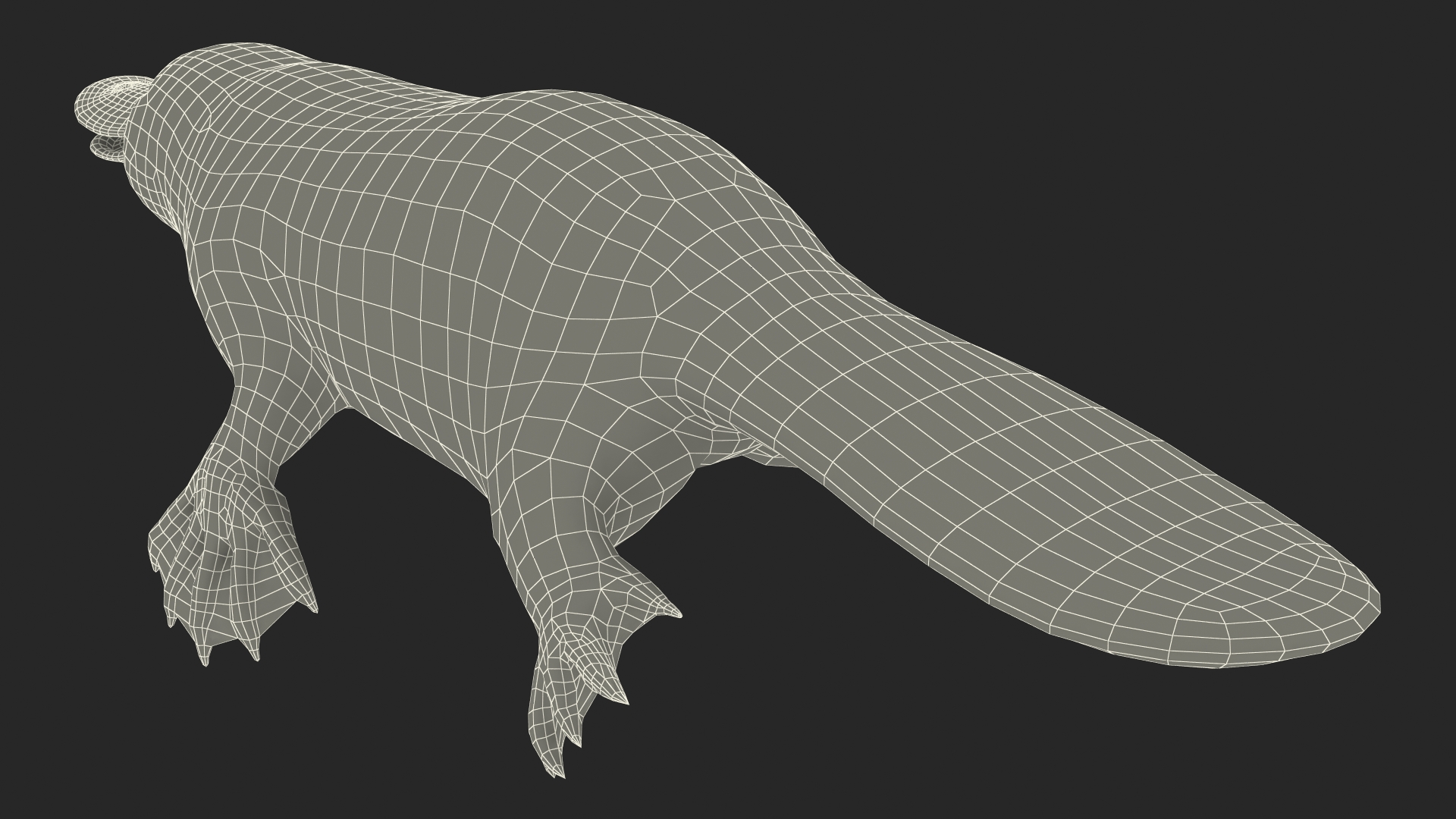 Platypus Fur 3D