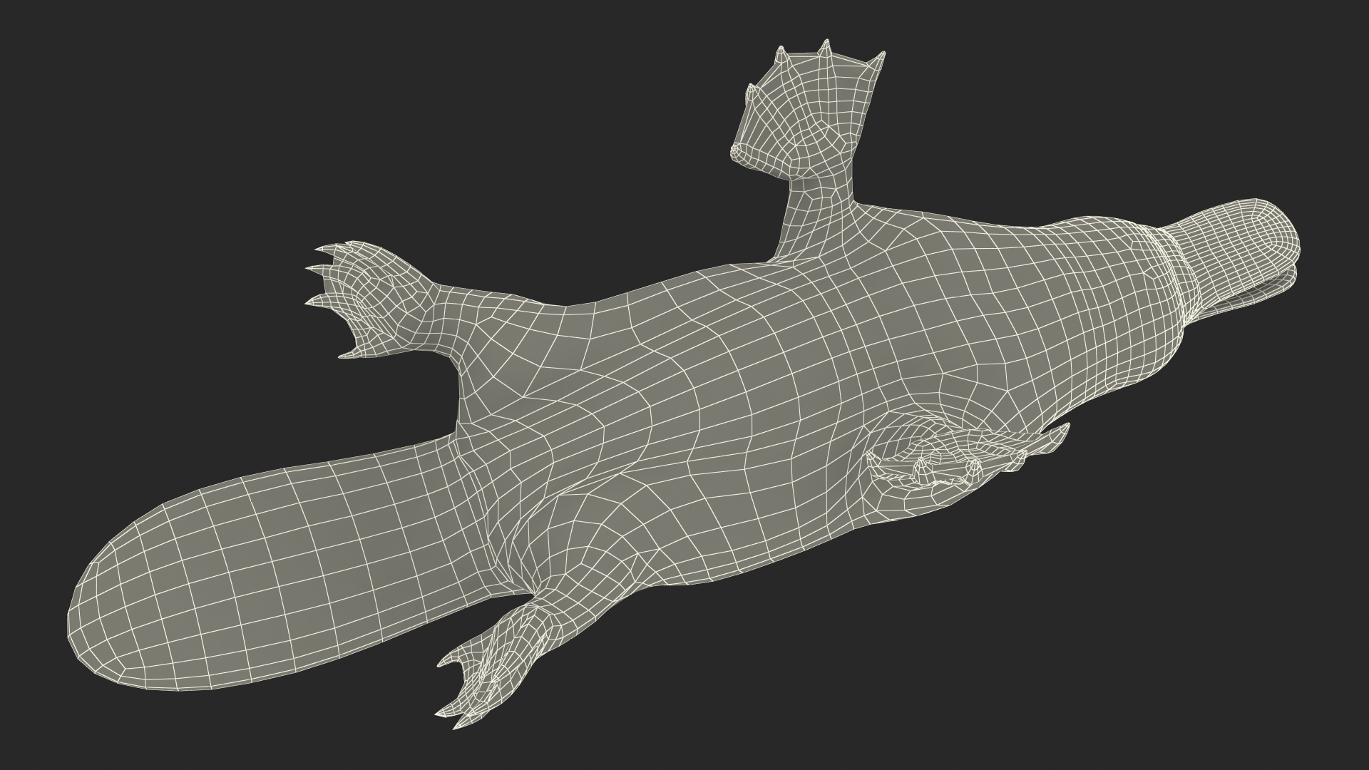 Platypus Fur 3D