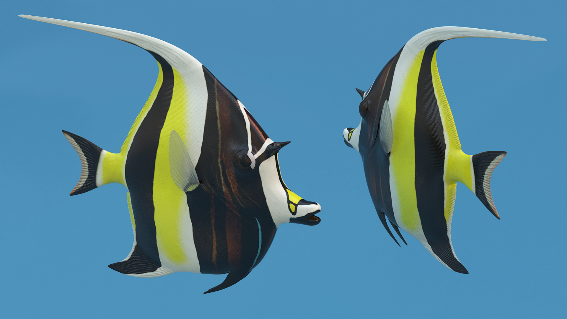 3D Moorish Idol Tropical Fish Rigged model