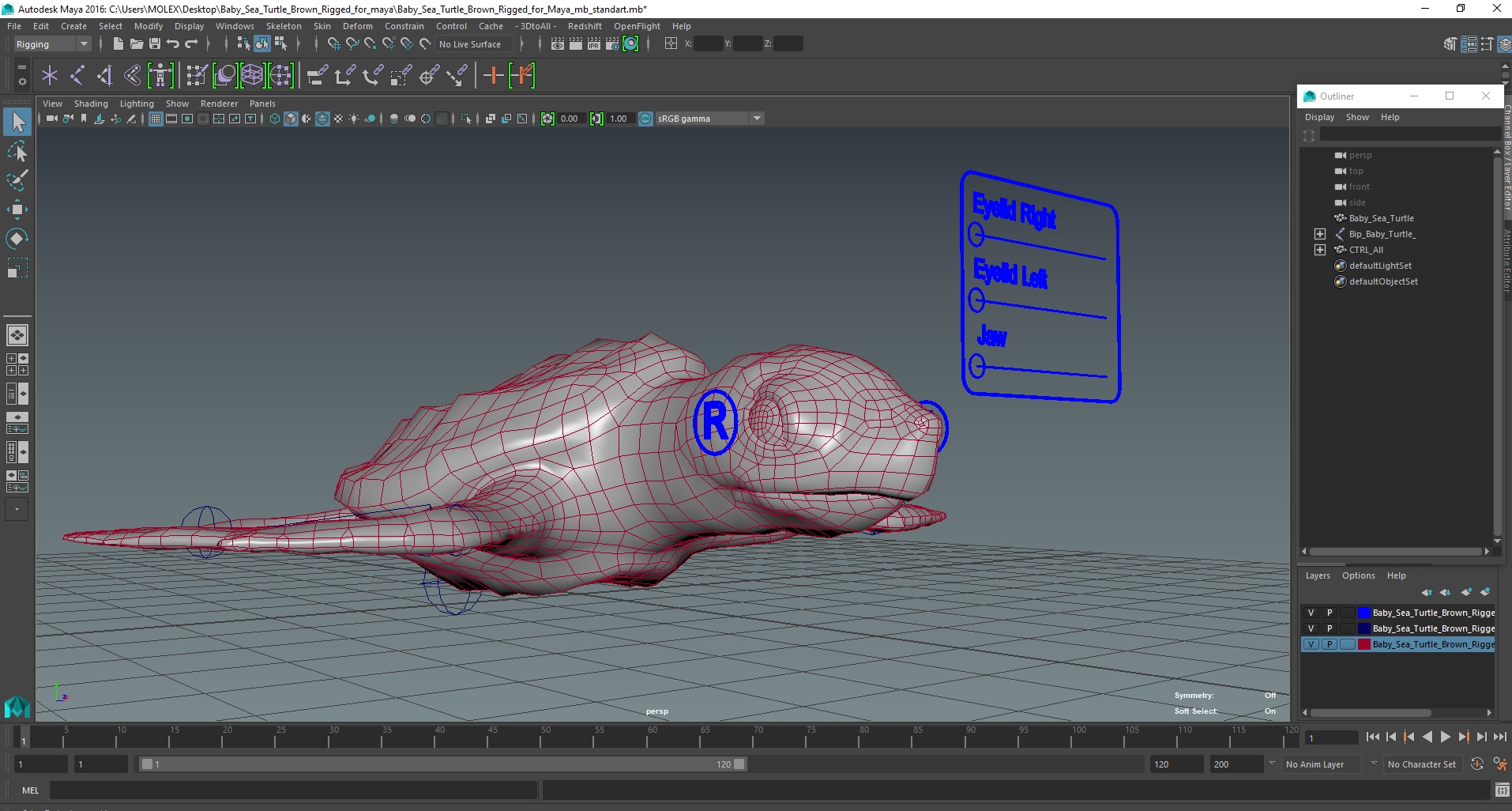 Baby Sea Turtle Brown Rigged for Maya 3D