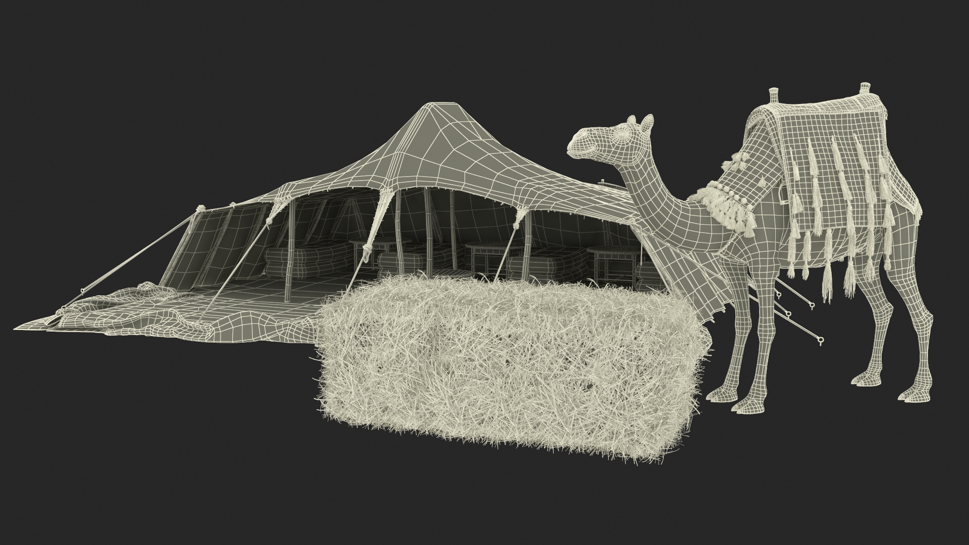 Traditional Bedouin Tent with Camel Fur 3D model