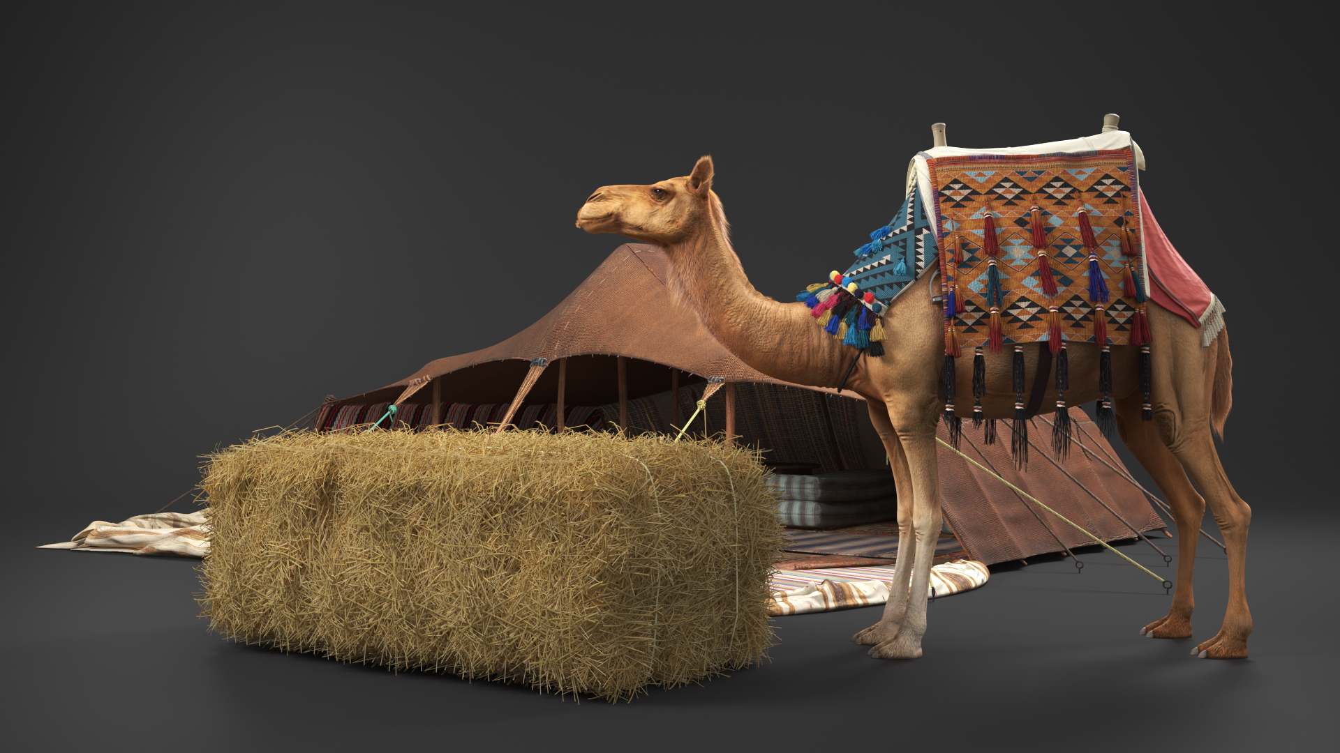 Traditional Bedouin Tent with Camel Fur 3D model