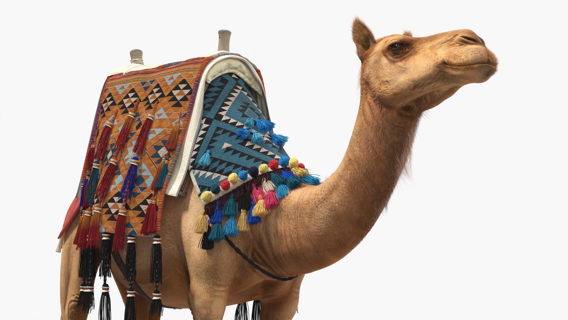 Traditional Bedouin Tent with Camel Fur 3D model