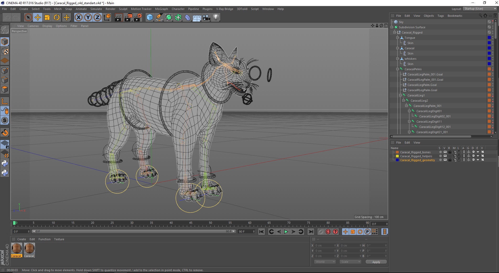 3D Caracal Rigged for Cinema 4D model