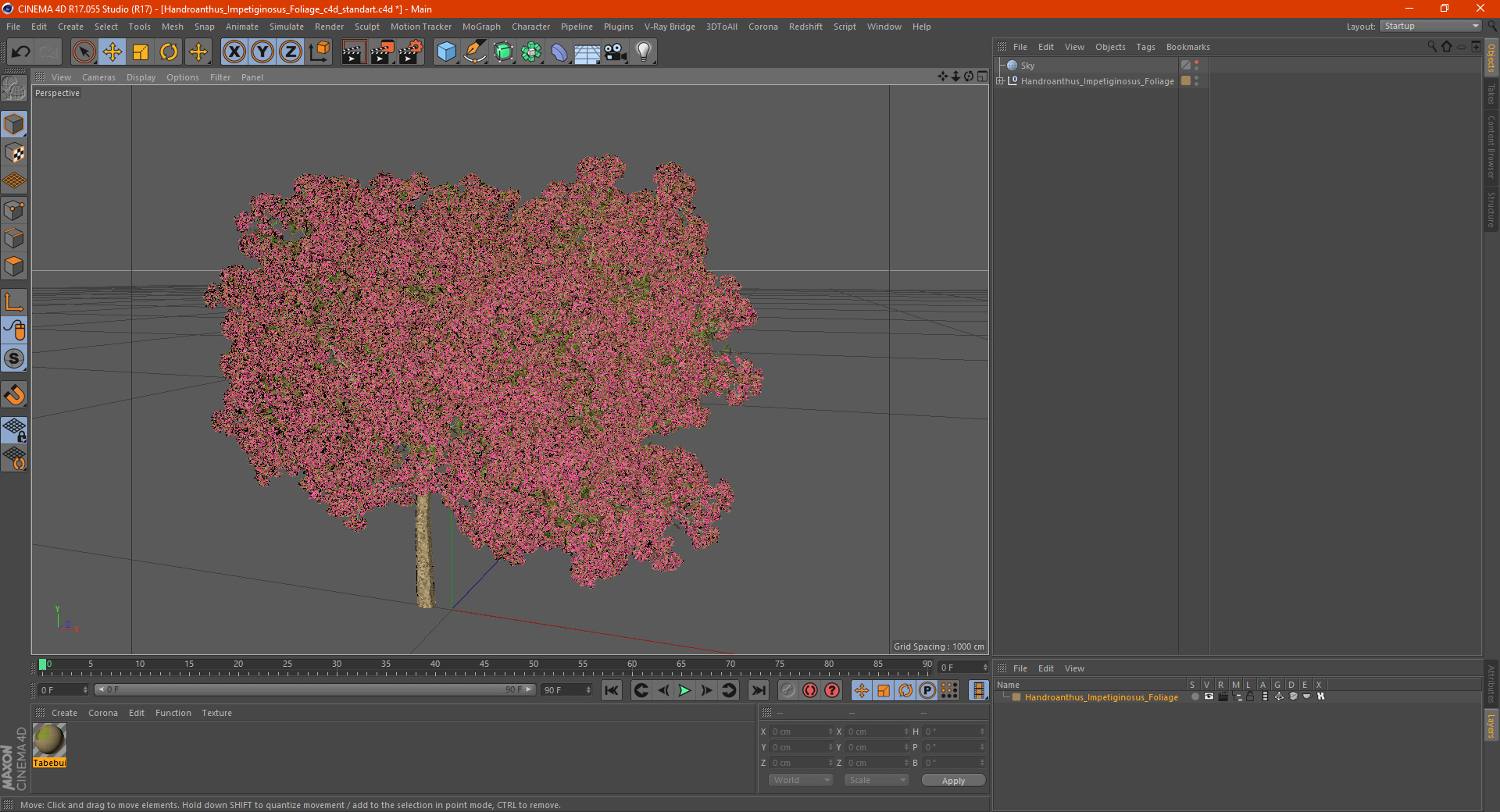 Handroanthus Impetiginosus Foliage 3D model