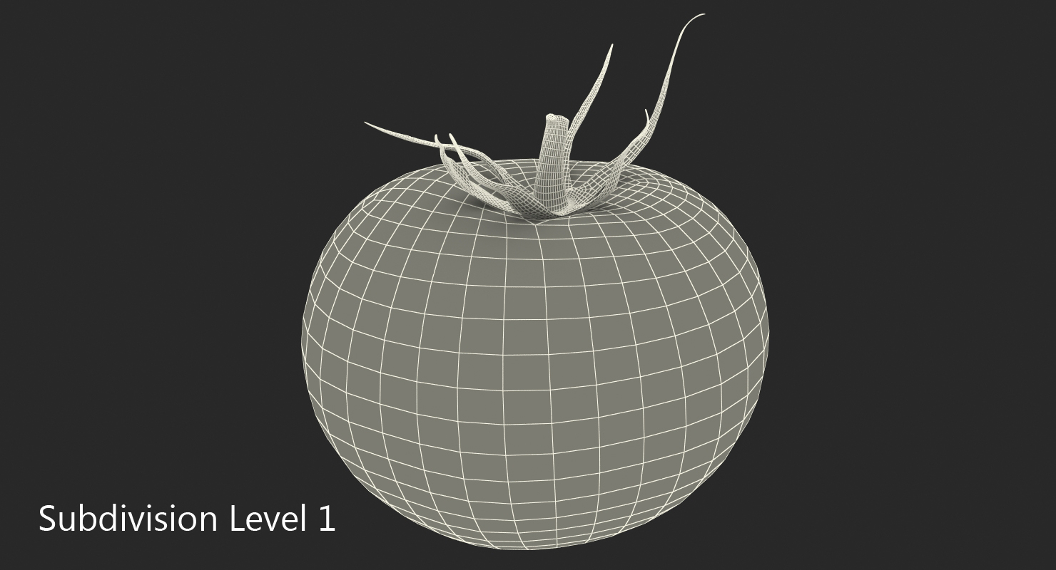 3D model Tomato