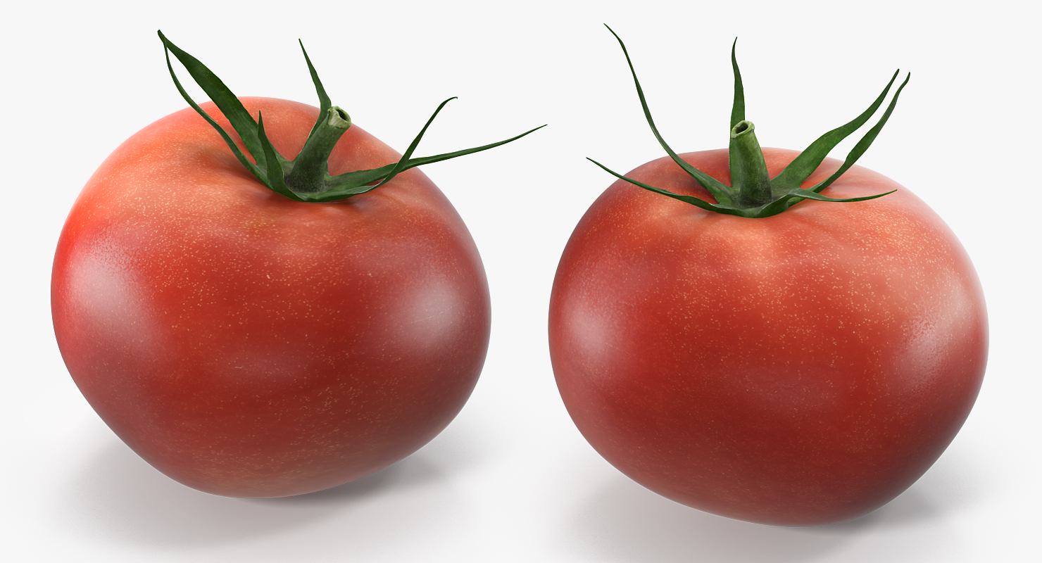 3D model Tomato