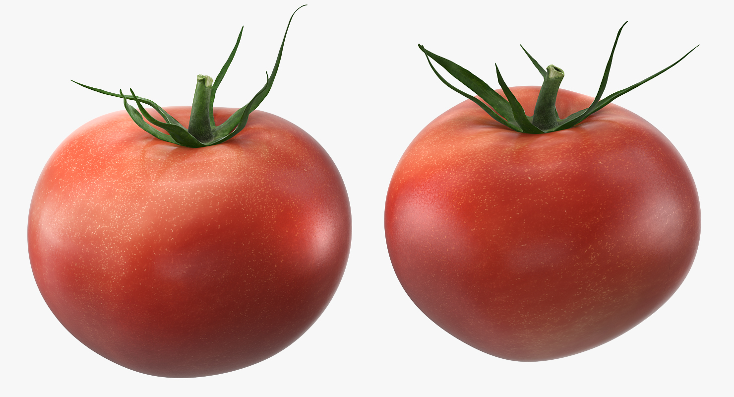 3D model Tomato