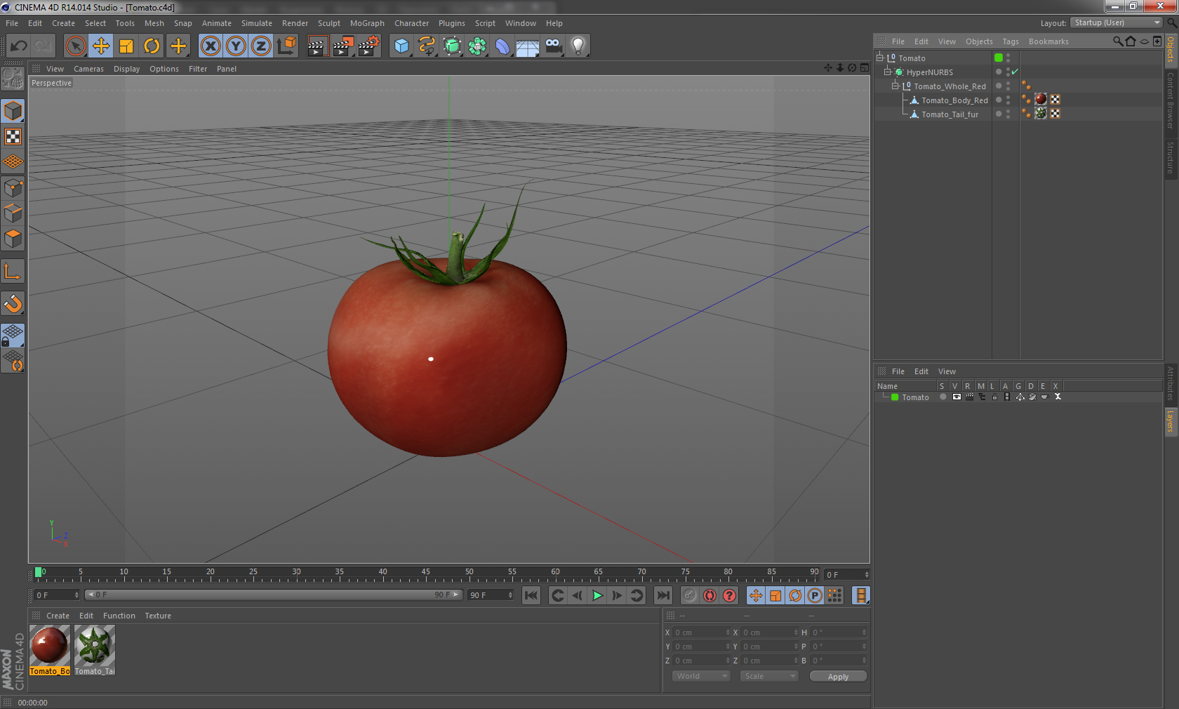 3D model Tomato