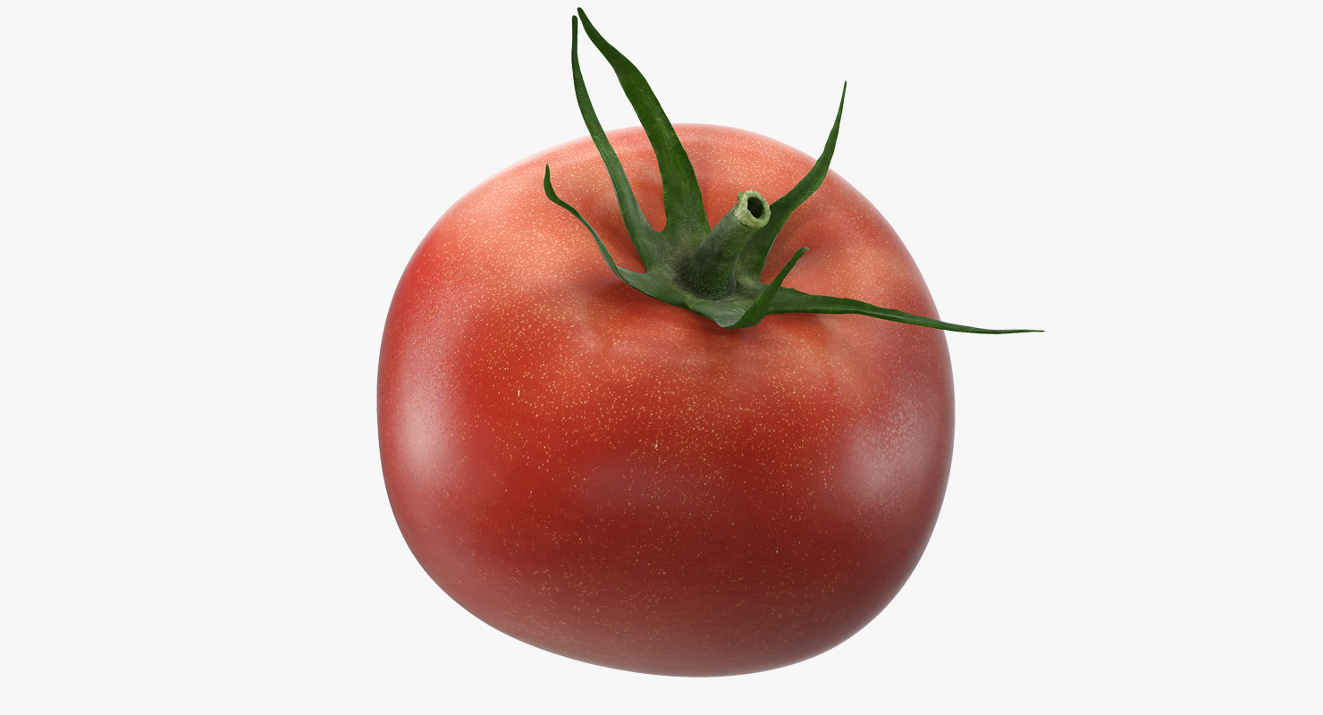 3D model Tomato