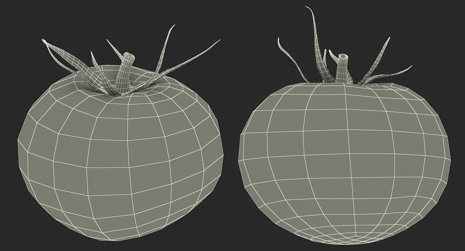 3D model Tomato