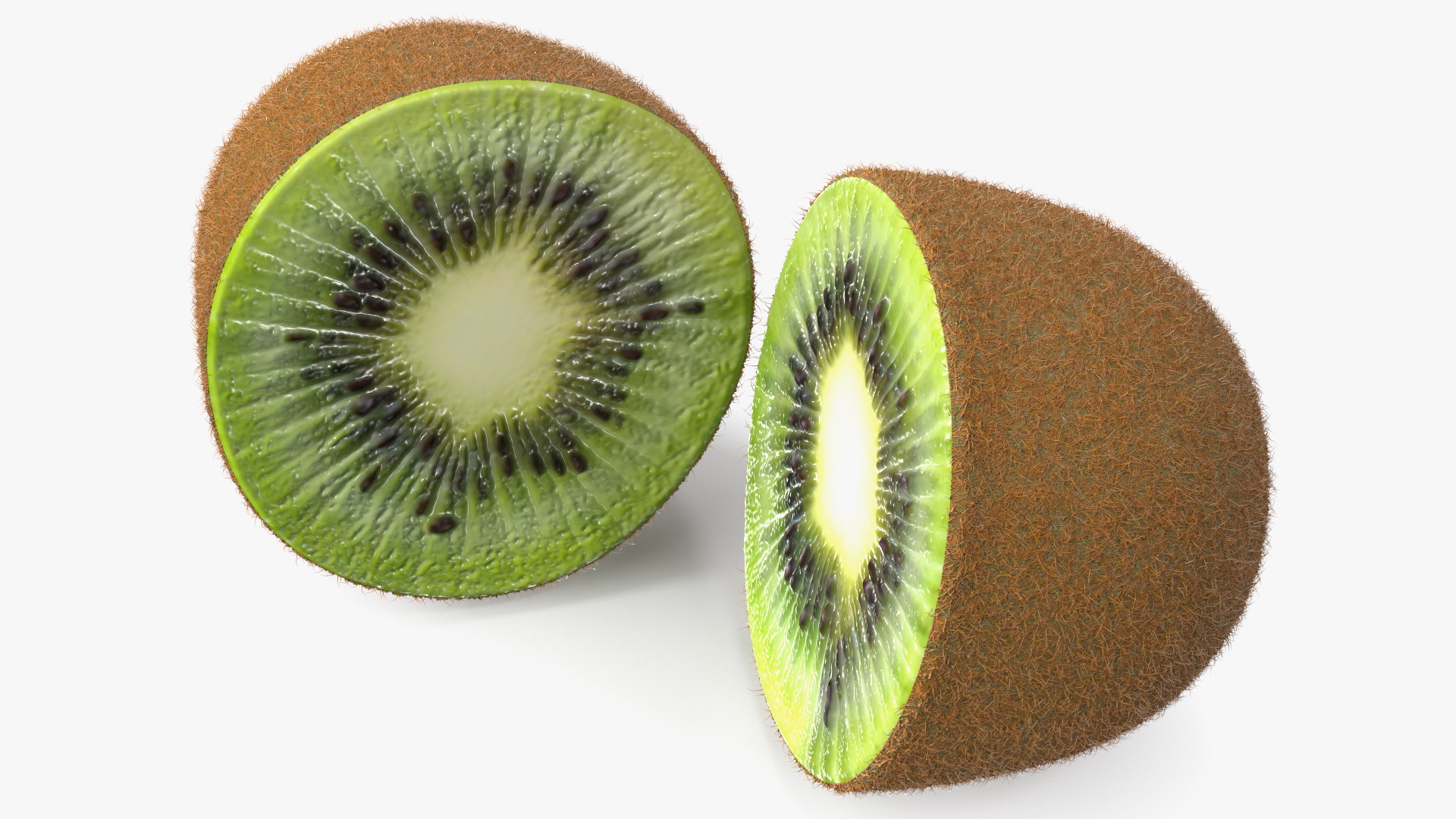 Kiwi Cut in Halves Fur 3D