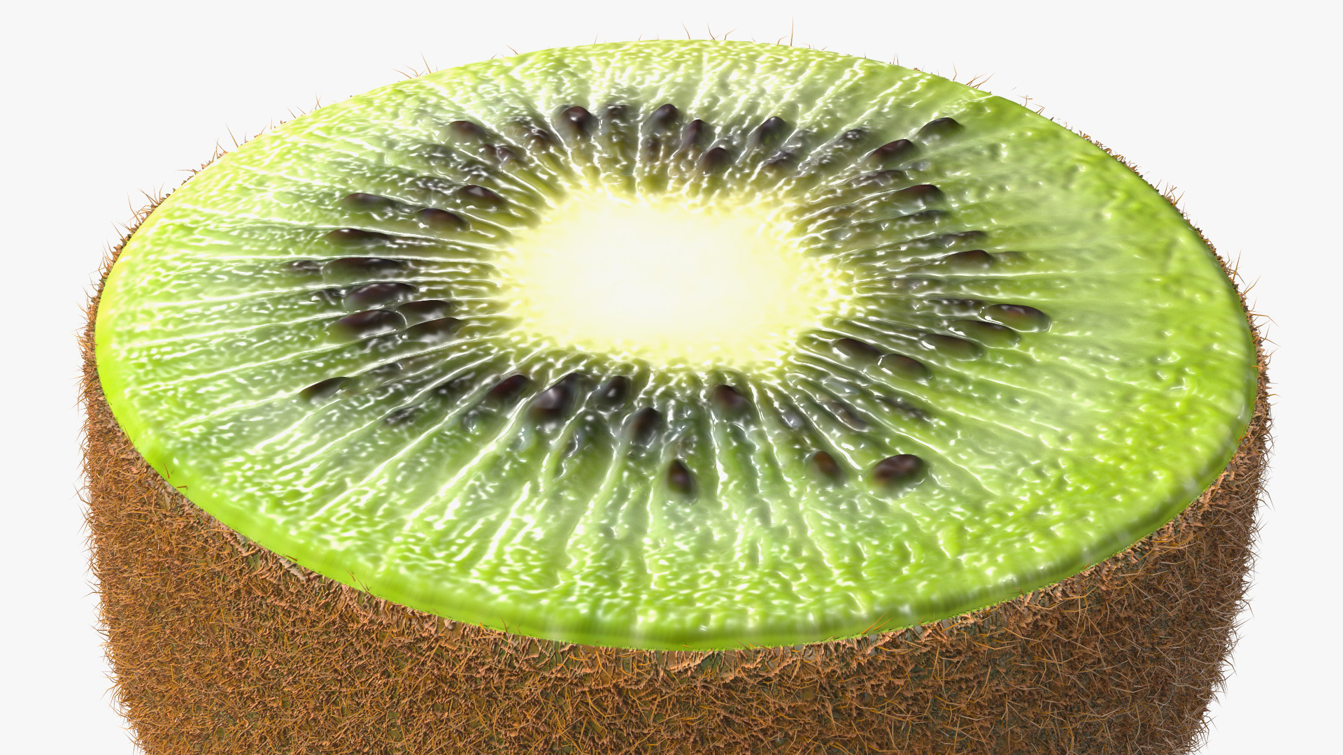 Kiwi Cut in Halves Fur 3D