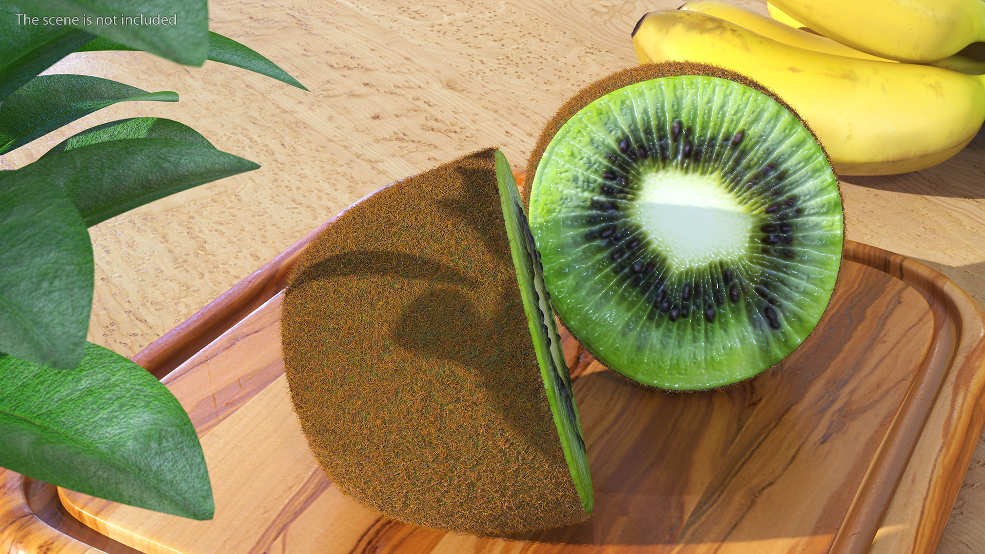 Kiwi Cut in Halves Fur 3D