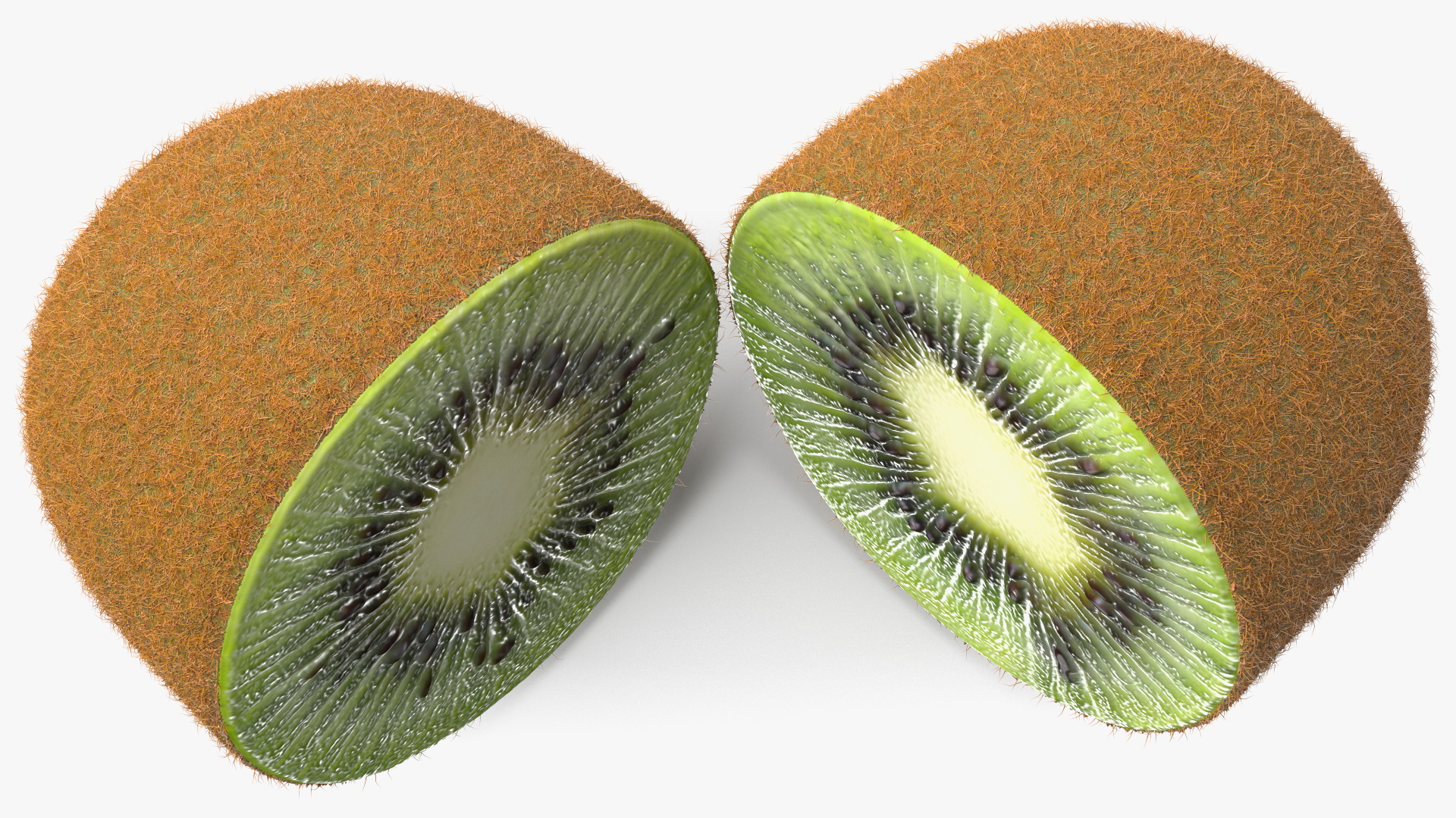 Kiwi Cut in Halves Fur 3D