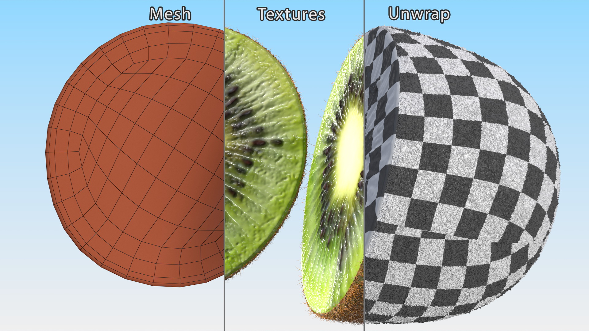 Kiwi Cut in Halves Fur 3D