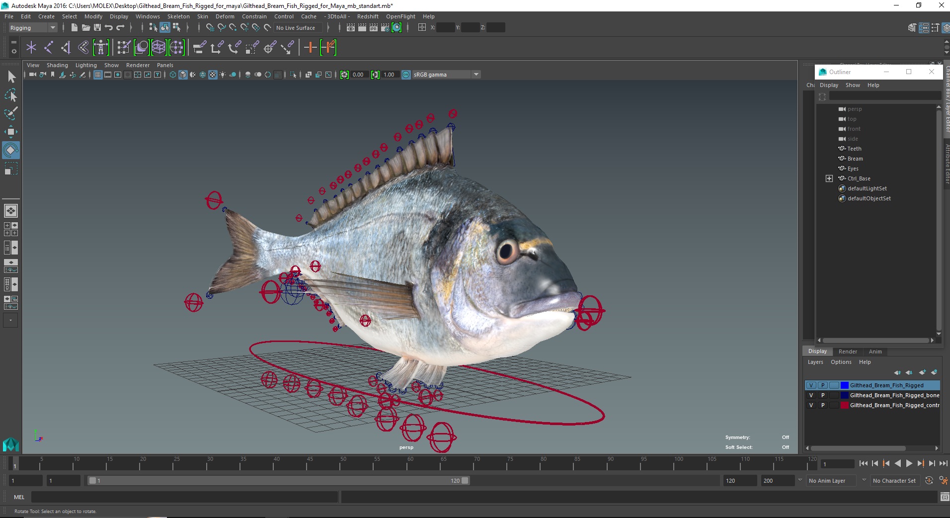 3D model Gilthead Bream Fish Rigged for Maya