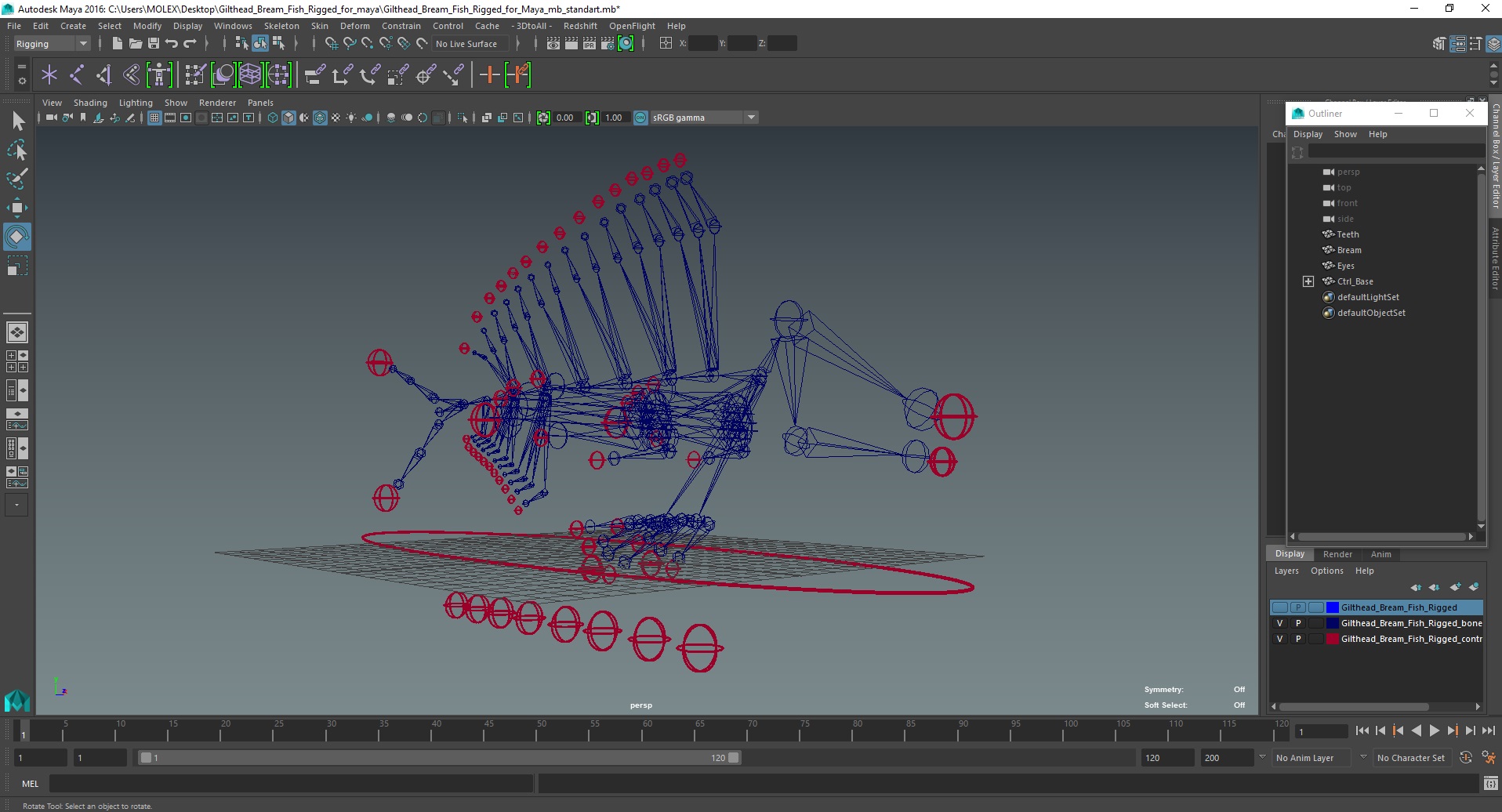 3D model Gilthead Bream Fish Rigged for Maya