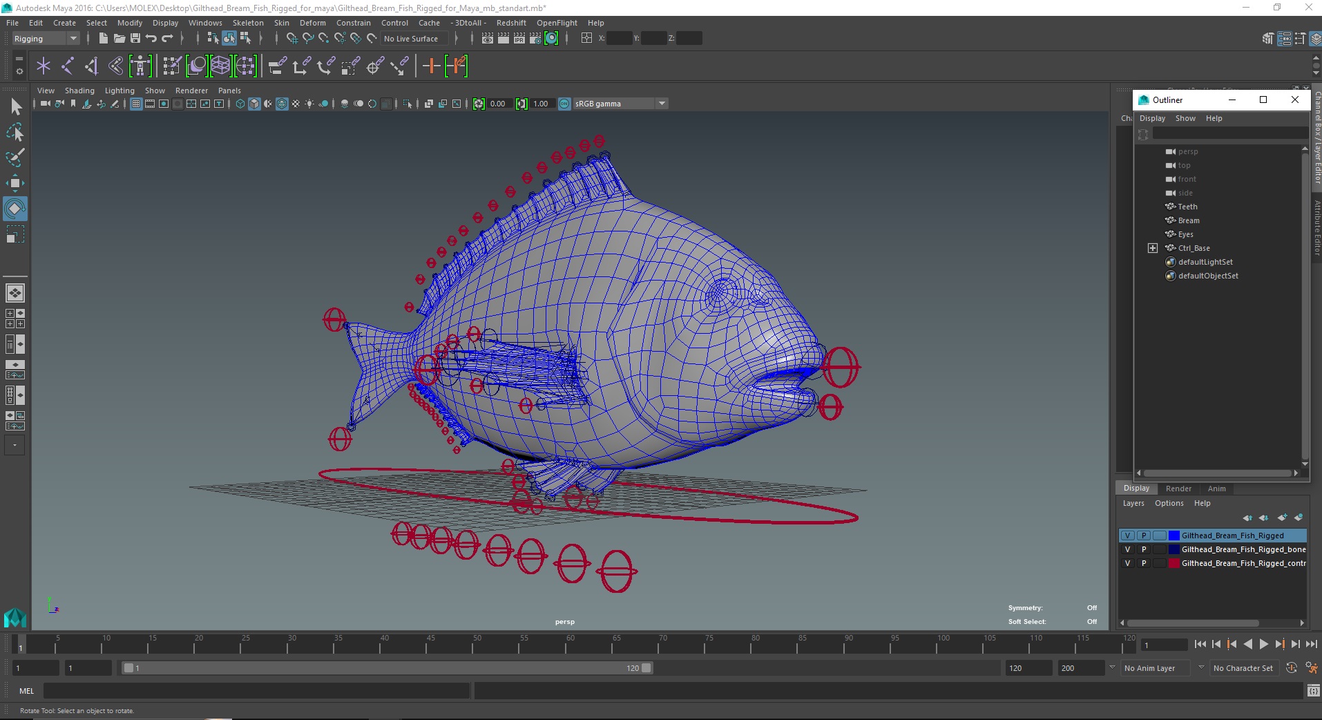 3D model Gilthead Bream Fish Rigged for Maya